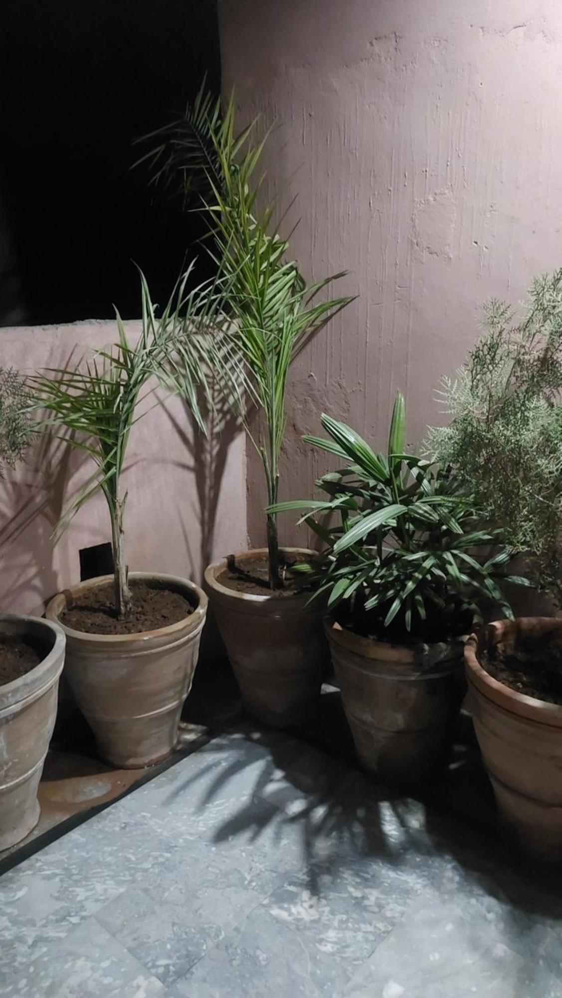 Shally Valley Guest House راوالبيندي المظهر الخارجي الصورة